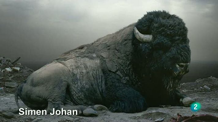 La aventura del Saber - Tendencias fotográficas