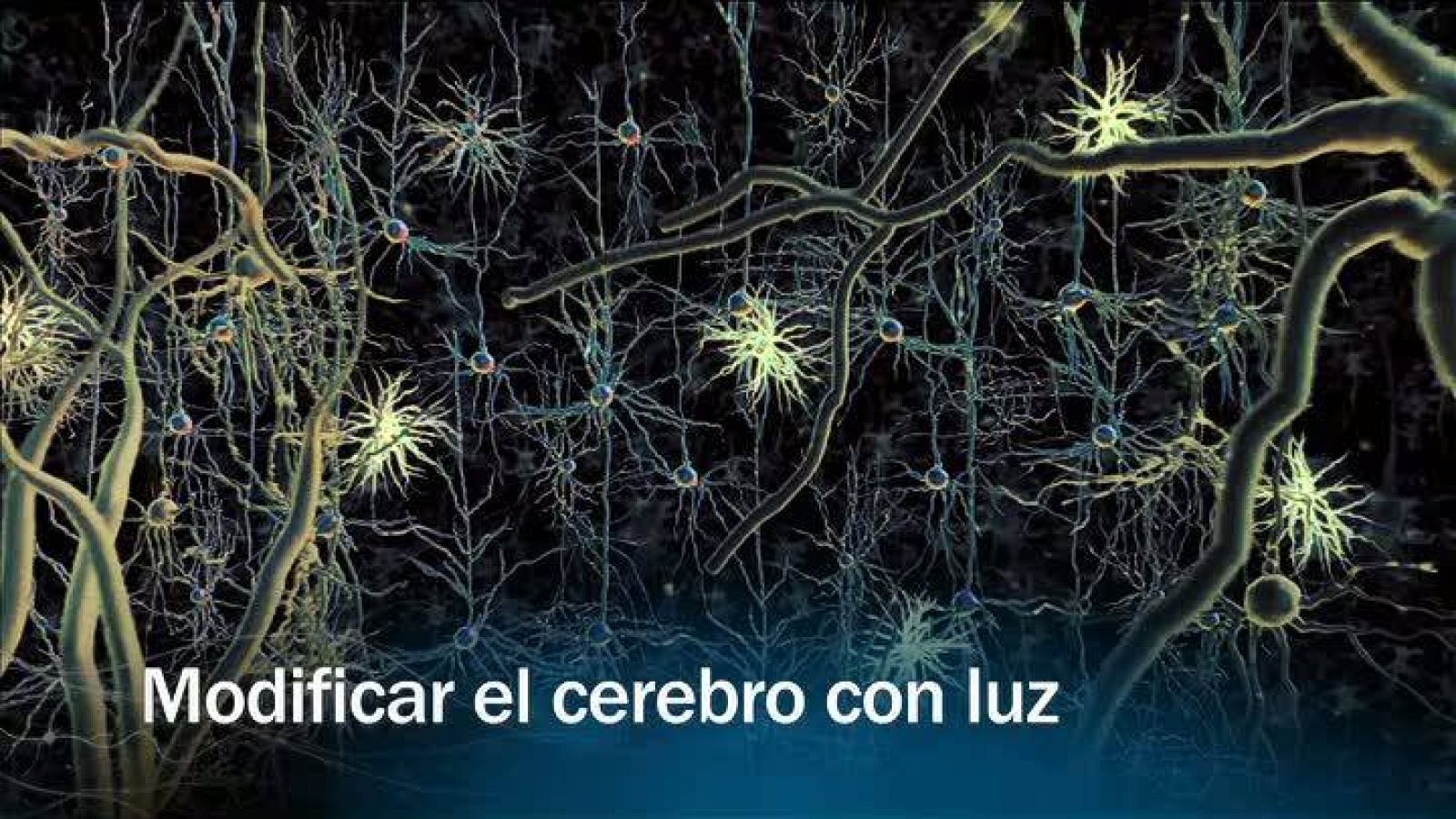 Redes - Modificar el cerebro con luz - presentación