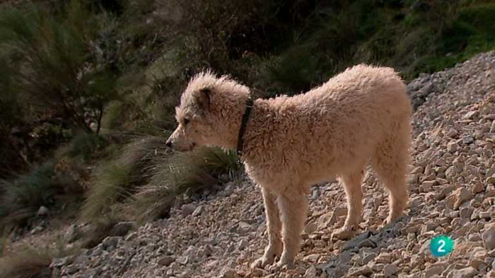 Biodiario - 11/05/12 - Ver ahora