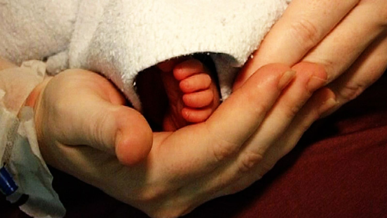 Comando Actualidad - Todo por un hijo - Avance - Comando Actualidad | Ver