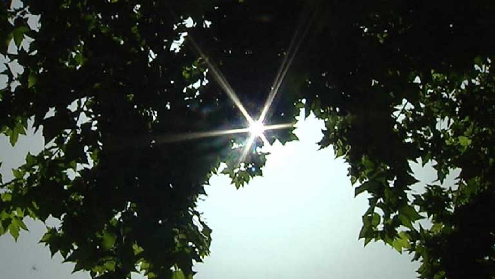 Aumento de temperaturas en el norte