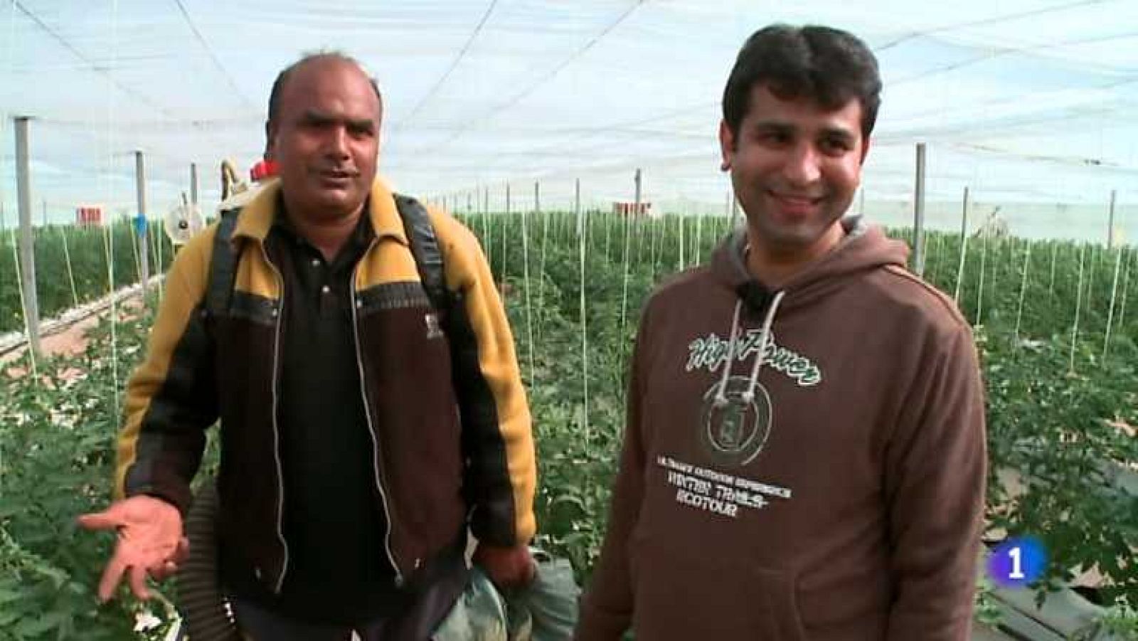 En Navarra vamos a Pamplona y bailamos con los gigantes, recogemos el espárrago, críamos palomas, vamos a Ulzama, a Roncesvalles, a Puente La Reina.