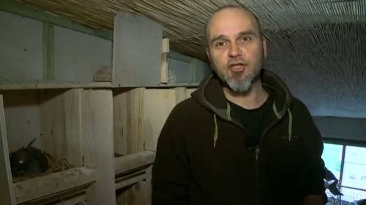 Destino: España - Navarra V - Danny