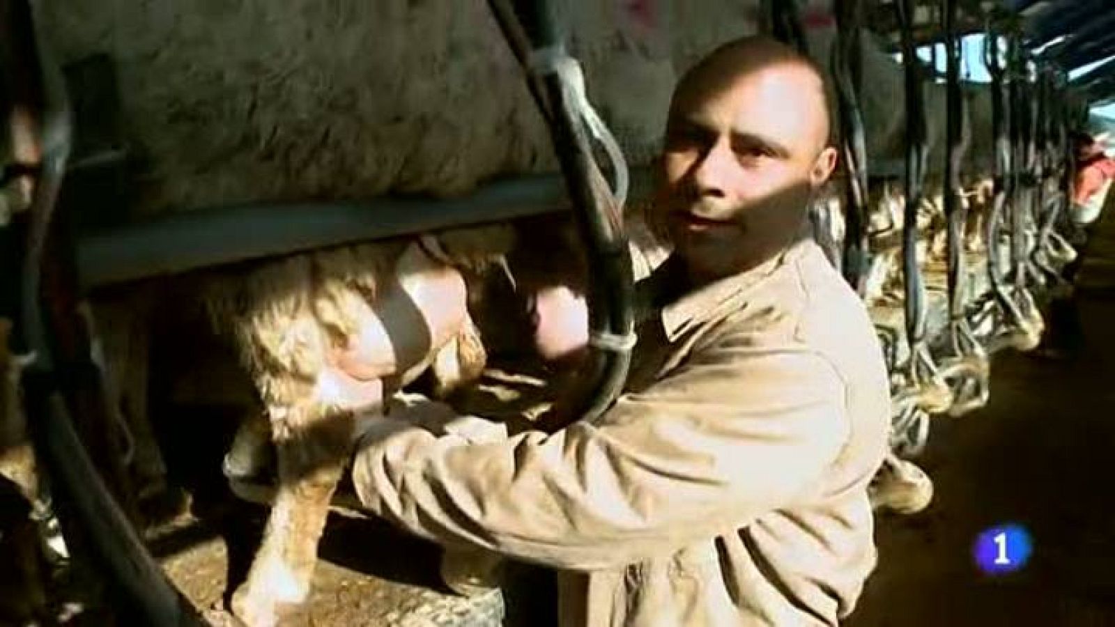 Destino:España - Navarra V - Marcos | Ver