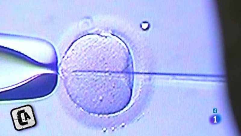 Comando Actualidad - Todo por un hijo - ver ahora