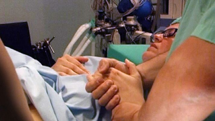 Comando Actualidad - Inseminación artificial