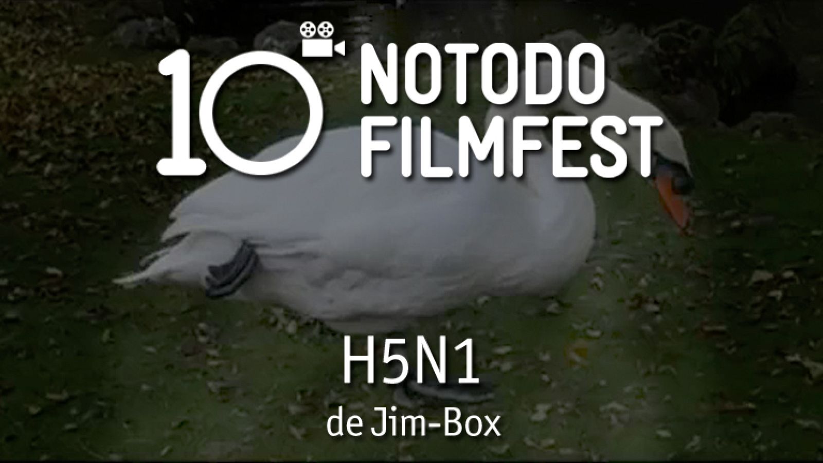 H5N1 - Jim-Box (2004)