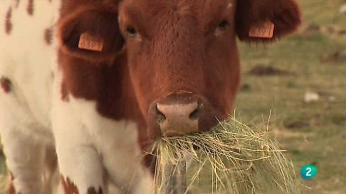 Agrosfera - Agrosfera - 19/05/12