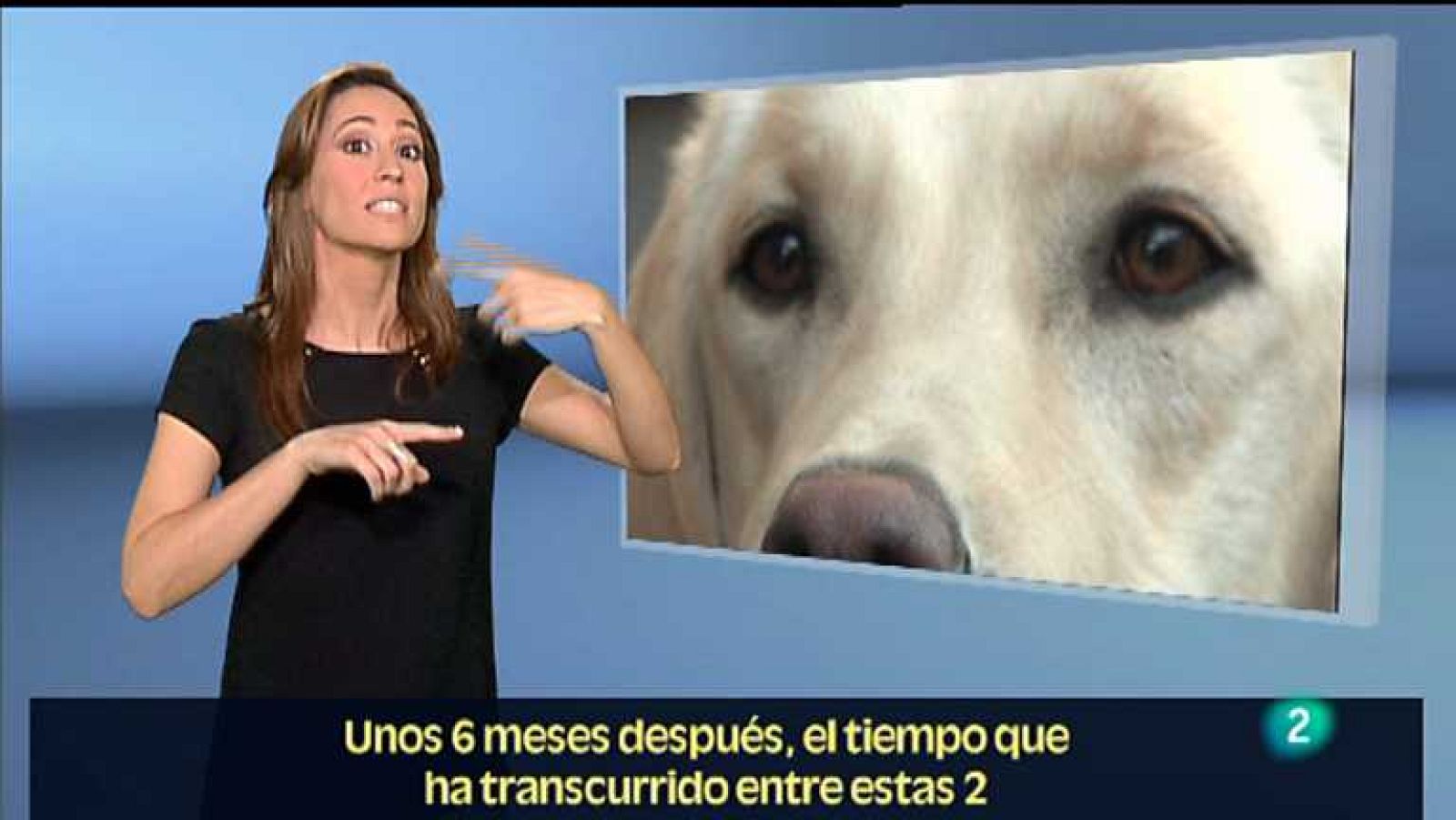 En lengua de signos - 19/05/12 - ver ahora