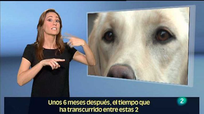 En lengua de signos - En lengua de signos - 19/05/12