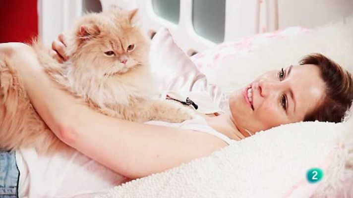 Más que perros y gatos - T2 - Capítulo 5