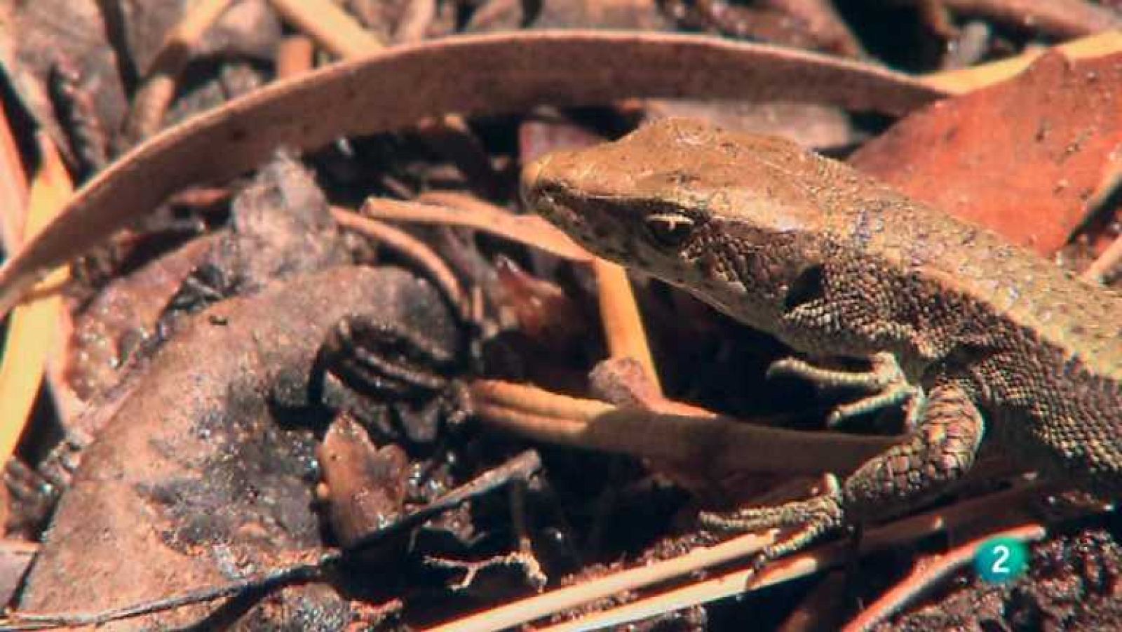 Biodiario - 21/05/12 - Ver ahora