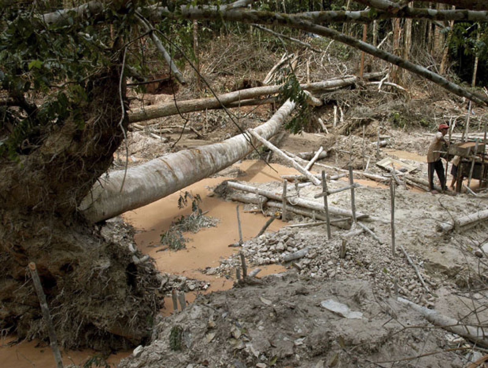 En portada - Desafío amazónico | Ver