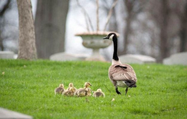 On Off - On Off: Un paseo accidentado