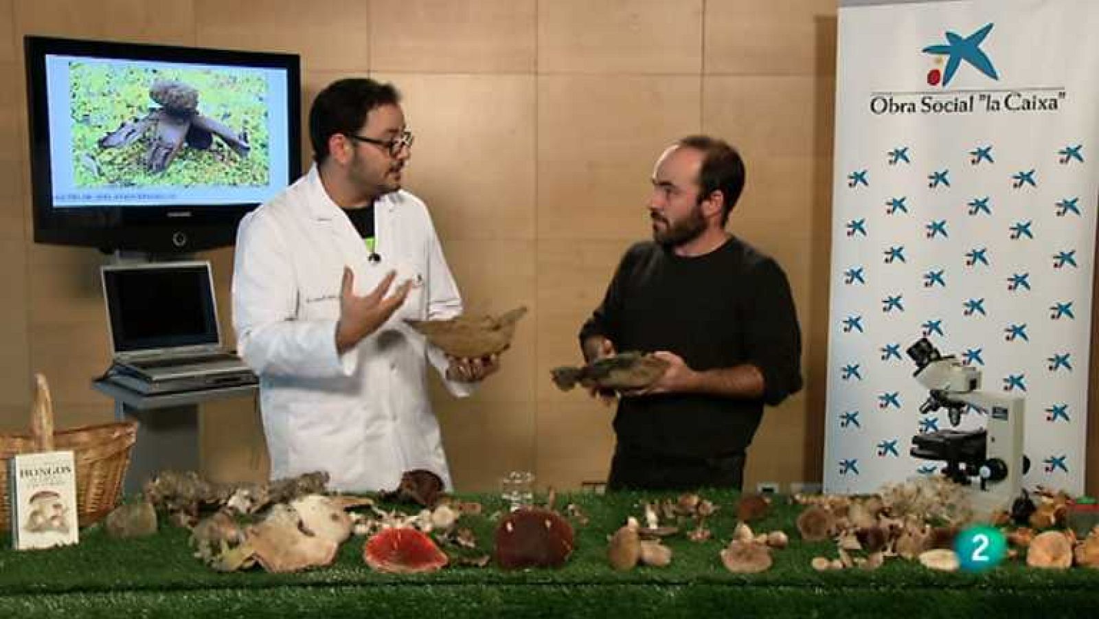 La aventura del saber - 23/05/12 - Ver ahora