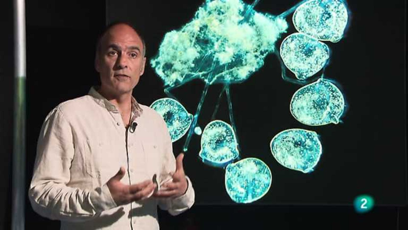 La aventura del saber - 24/05/12 - Ver ahora