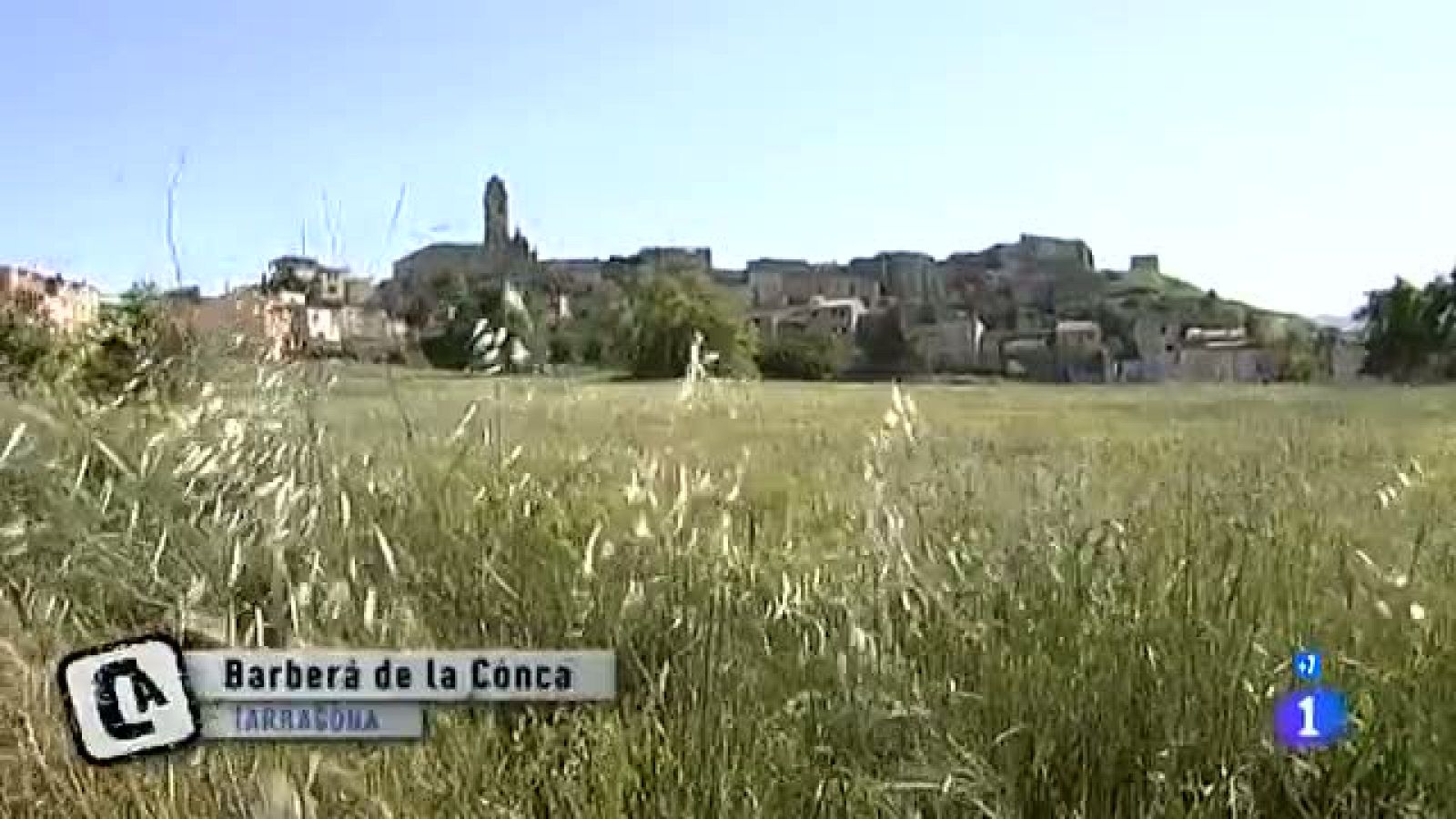 Mi casa, mi cruz - Barberá de la Conca- Divididos por una grieta - Comando Actualidad | Ver