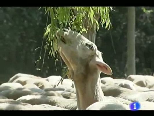 Noticias Aragón - Noticias Aragón - 24/05/12