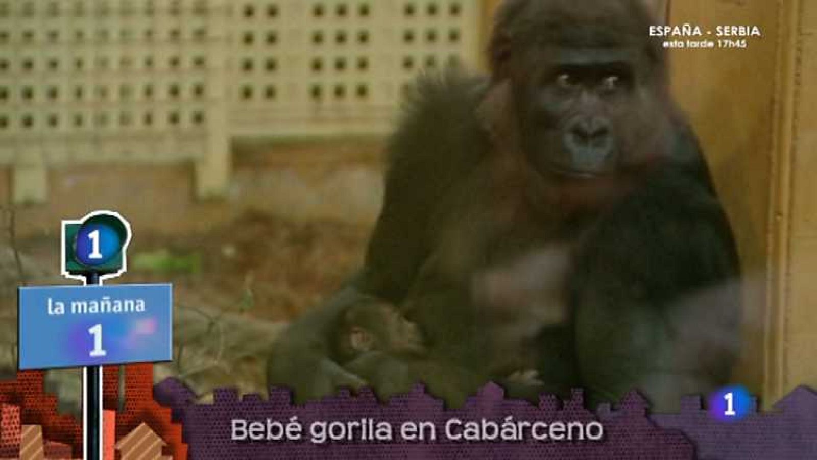 Lo que hay que ver - 26/05/12 - Ver ahora