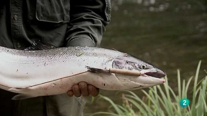 Biodiario - Biodiario - 27/05/12