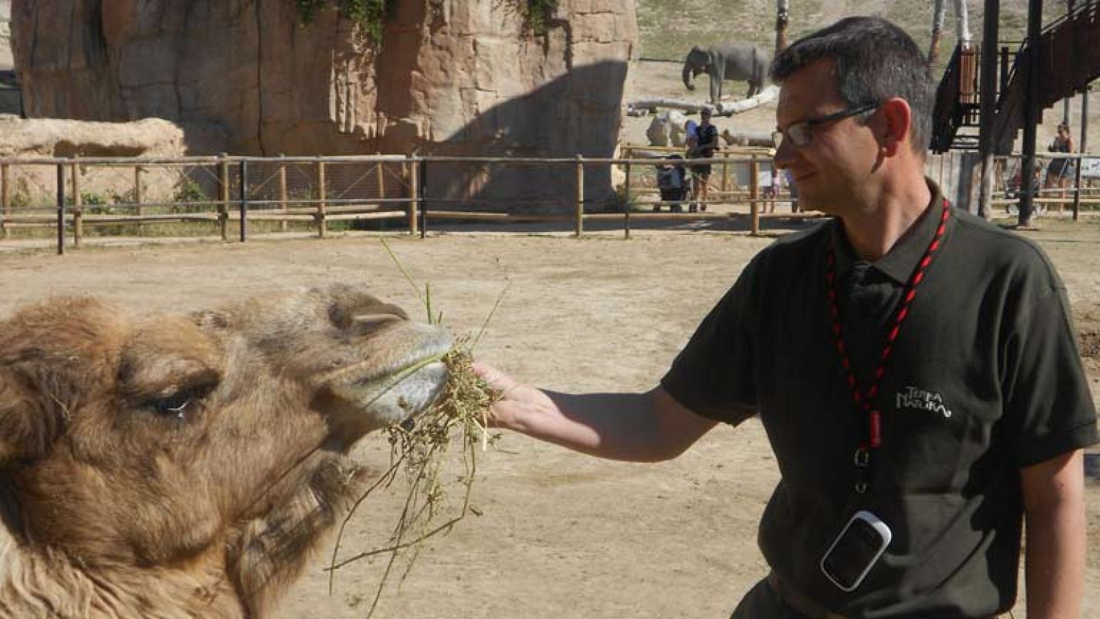 Conectando España - Finestrat: en el zoo