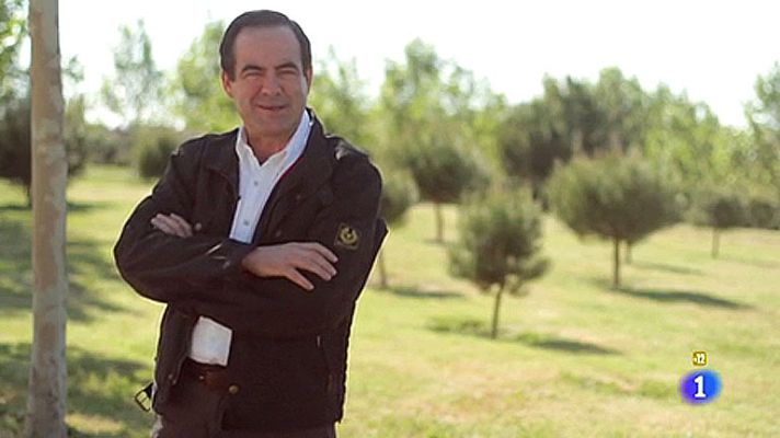 Entrevista a la carta - José Bono y Cayetano Rivera