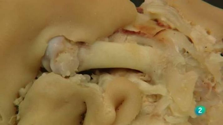 Para todos La 2 - ¿són buenos los pies de cerdo?