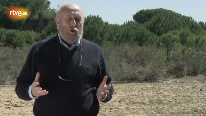 Crónicas - ¿Es caro conservar el lince?