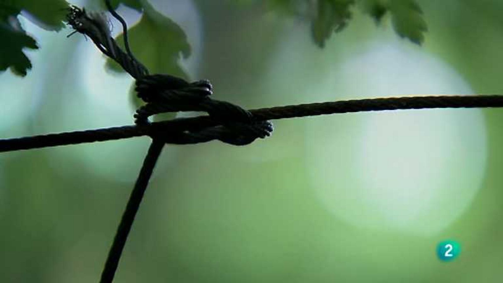 Biodiario - 30/05/12 - Ver ahora