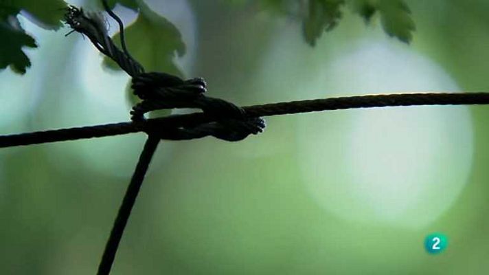 Biodiario - Biodiario - 30/05/12