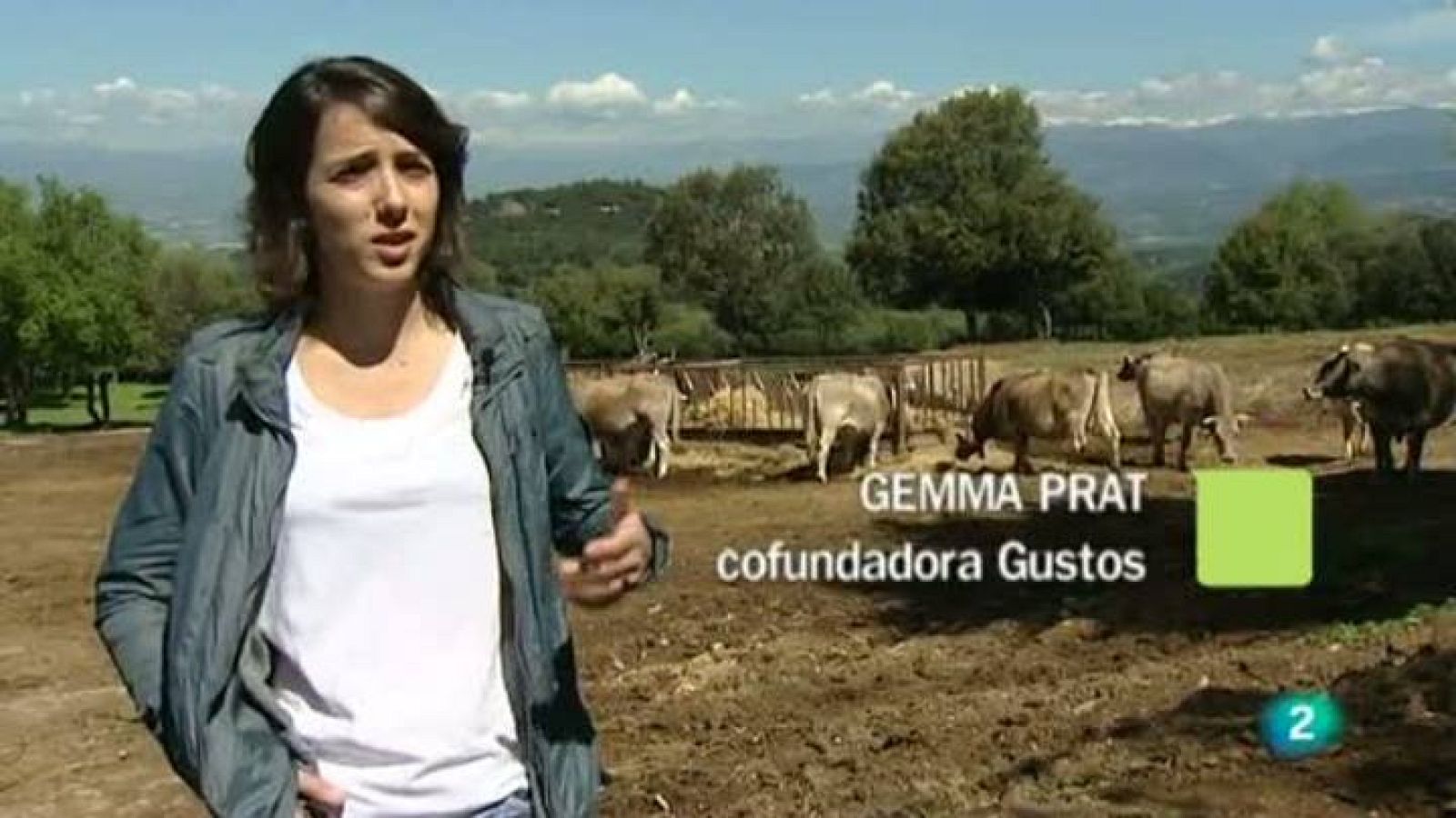 Tinc una idea - Idees i acció