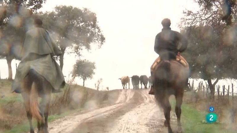 Tendido Cero - 02/06/12 - Ver ahora