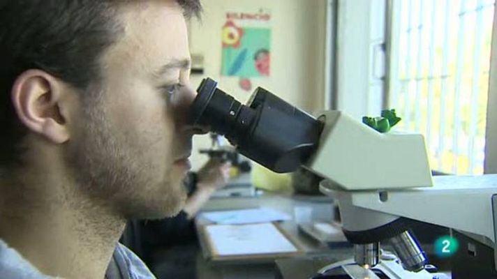 Para todos La 2 - El papiloma humano