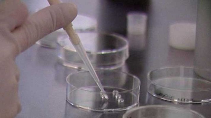 Telediario 1 - Eficacia de las células madre