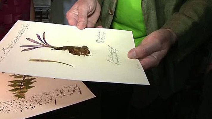 Conectando España - Puebla de Sanabria: Coleccionistas