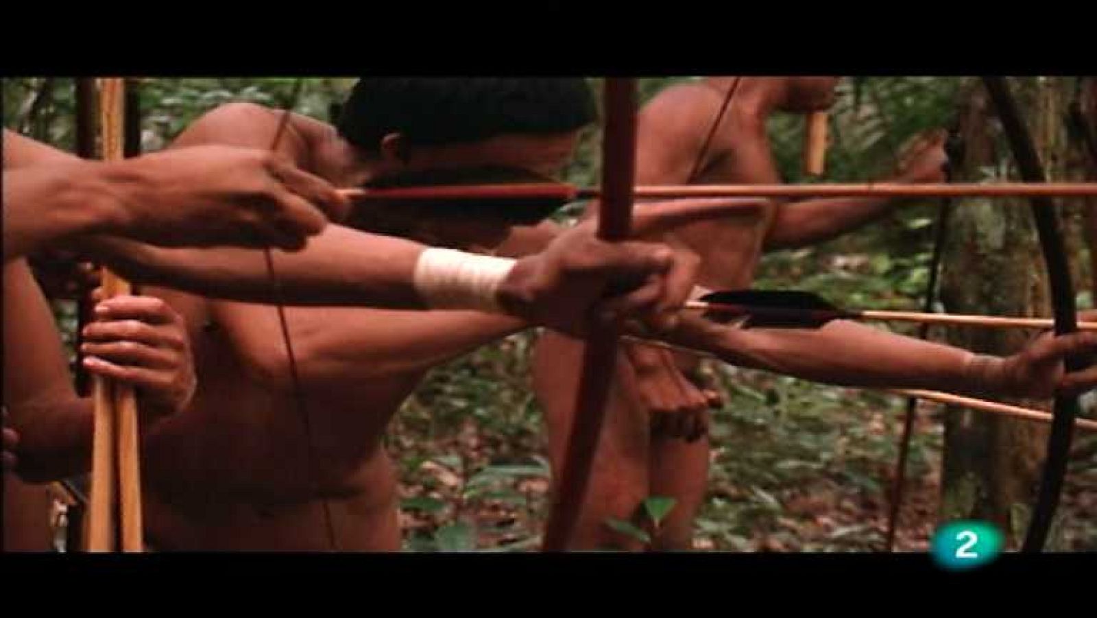 Amazonia, última llamada - Aislados - ver ahora