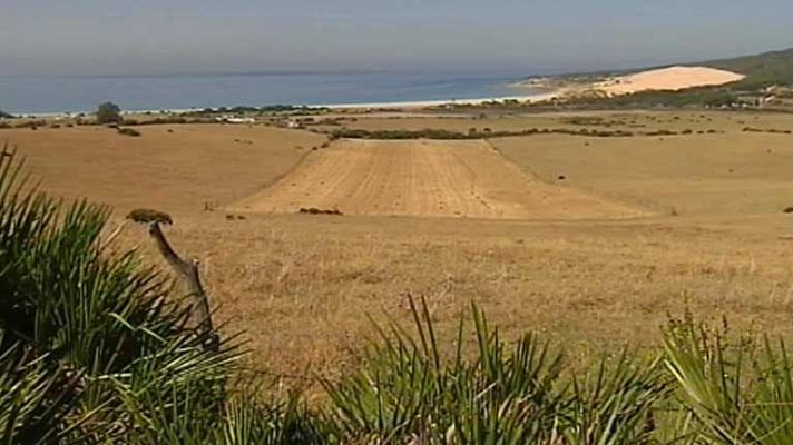 Telediario 1 - Plataforma Salvemos Valdevaqueros