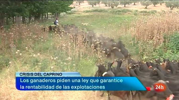 España en 24h - España en 24 horas - 06/06/12