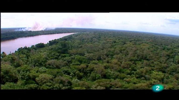 Amazonia. La última llamada - Biopiratería