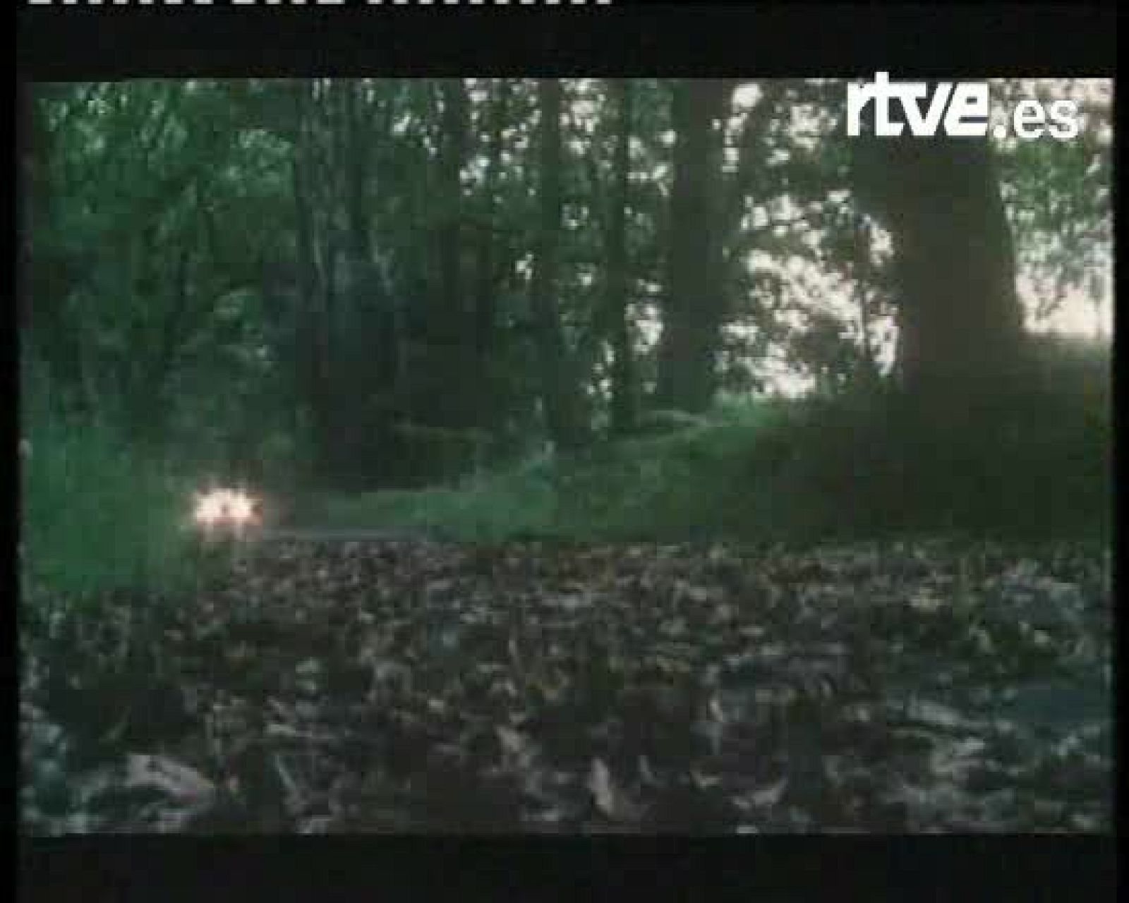 Yazoo vuelve en el Sónar y recordamos su "Don't Go" | Ver