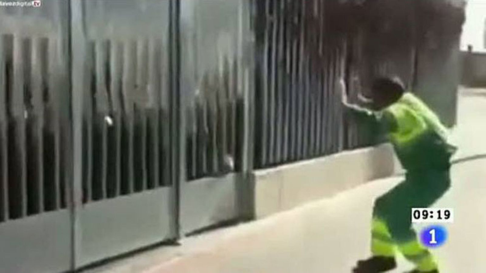 La atracción del cole cada mañana... el barrendero que les canta "Bob Esponja"