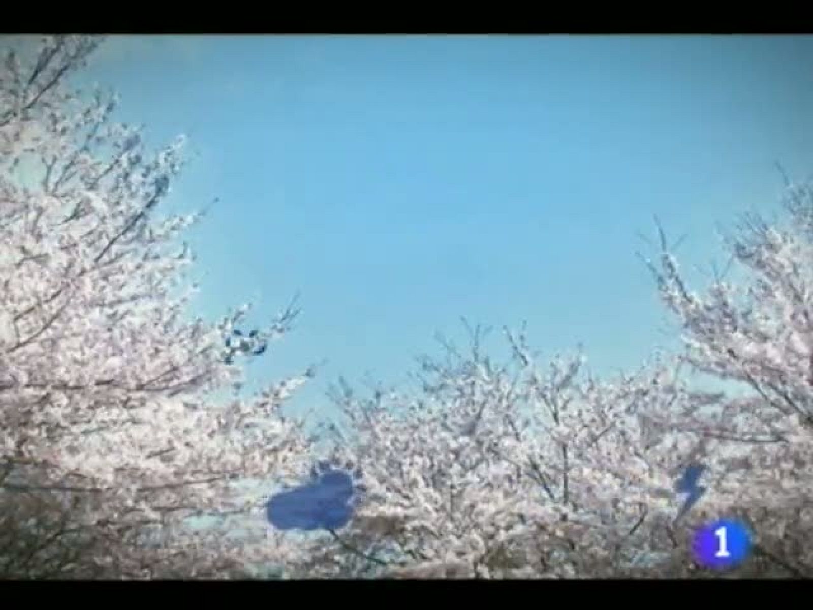 El tiempo en la Región de Murcia.(08/06/2012).