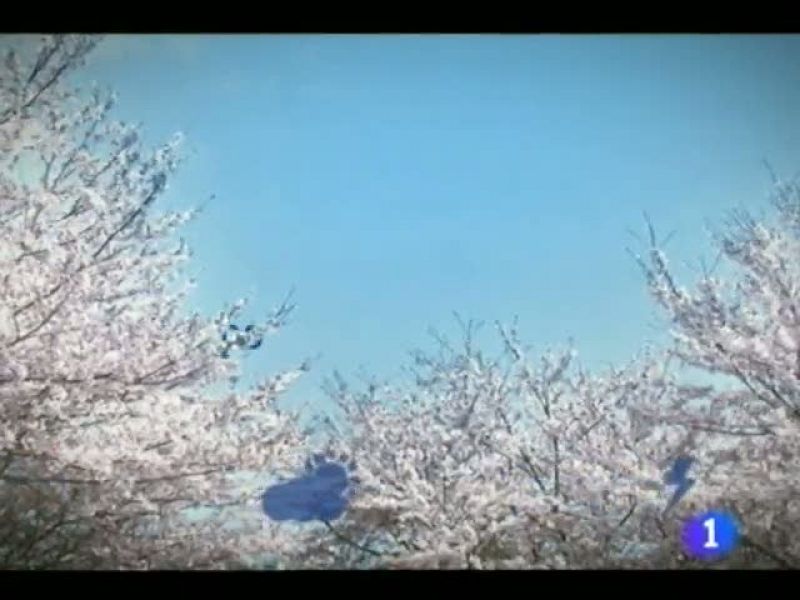 El tiempo en la Región de Murcia.(08/06/2012).