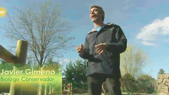 Los oficios de la cultura - Los oficios de la cultura - Avance: Javier Gimeno, biólogo