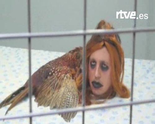  - Imagen Sónar 2008