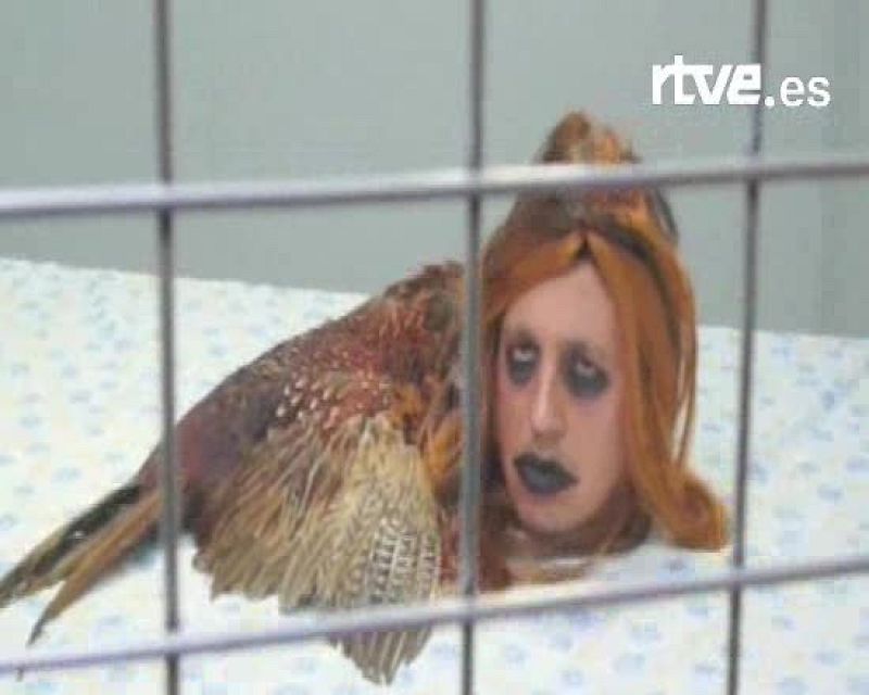 Imagen Sónar 2008 | Ver