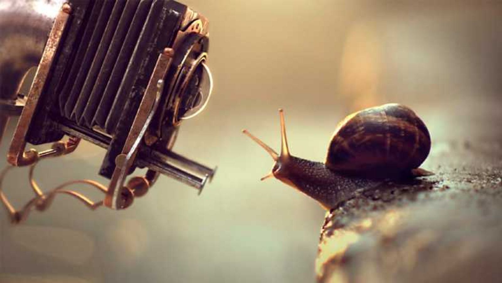 Metrópolis - Dvein - ver ahora