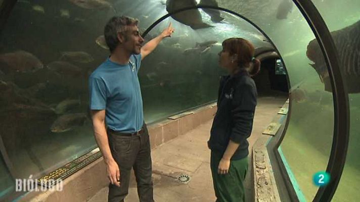 Los oficios de la cultura - Biólogo, Javier Gimeno