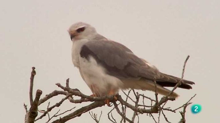 Biodiario - Biodiario