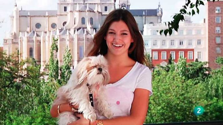 Más que perros y gatos - T2 - Capítulo 8